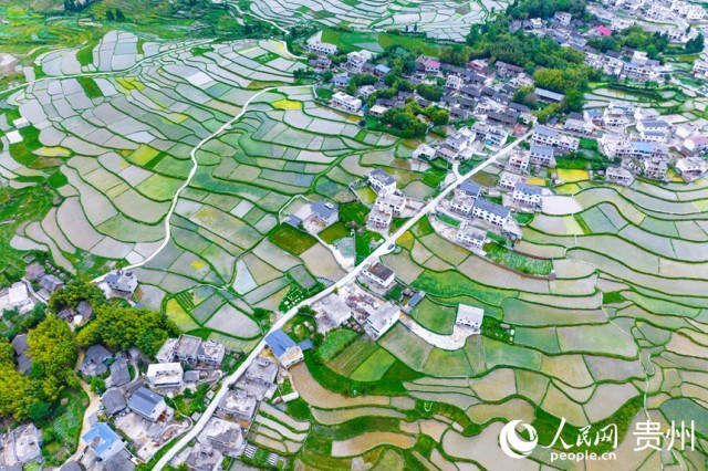 FлϪ^(q)W(wng)ӛ Ϳz